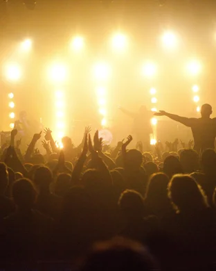 Pink Droyd - A Tribute to Pink Floyd