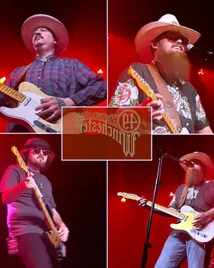 49 Winchester Louisville