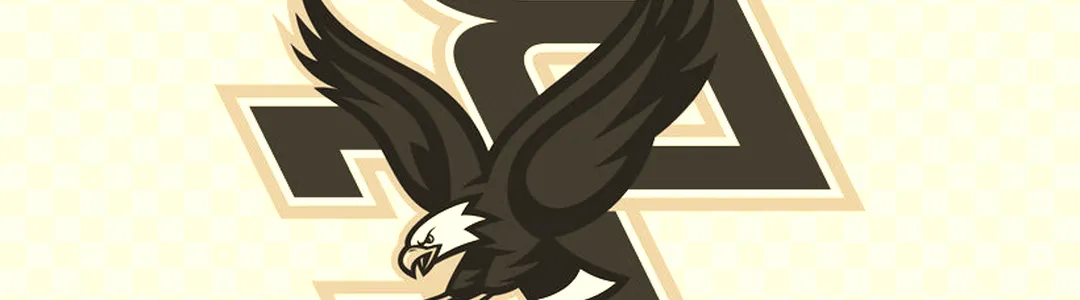 Boston College Eagles Women's Basketball