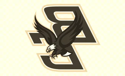 Boston College Eagles Women's Basketball