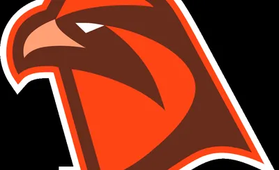 Bowling Green Falcons