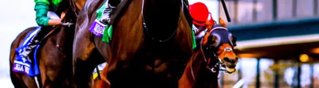 Breeders Cup