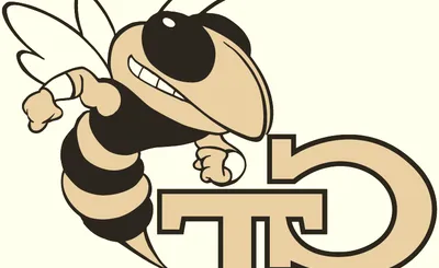 Georgia Tech Yellow Jackets