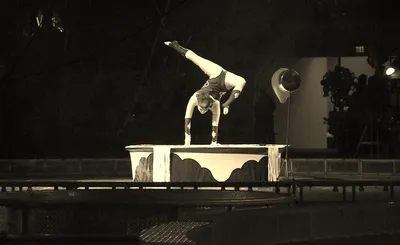 Kosair Shrine Circus