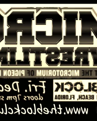 Micro Wrestling Federation