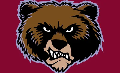 Montana Grizzlies
