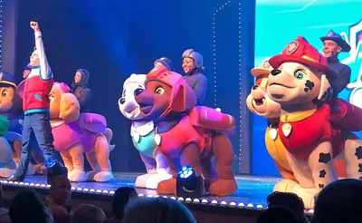 Paw Patrol Live