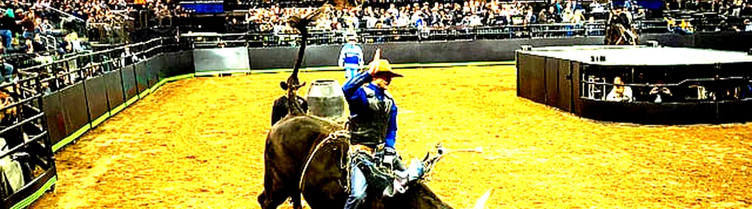 PBR Challenger Series
