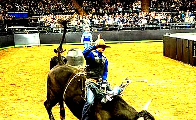PBR Challenger Series