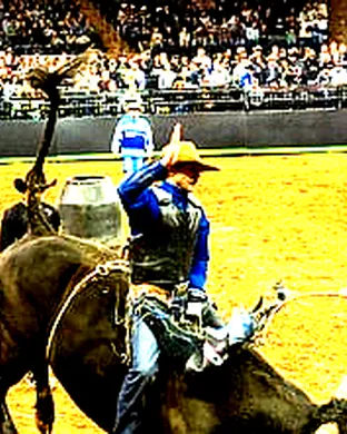 PBR Challenger Series