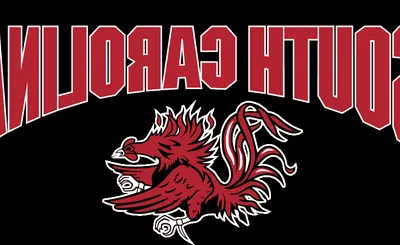 South Carolina Gamecocks