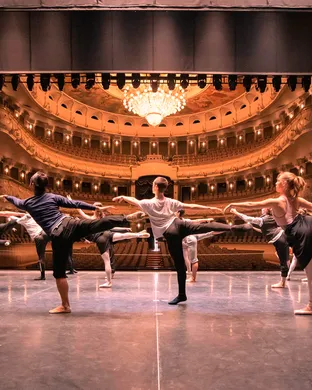 World Ballet Company: Swan Lake theatre performance