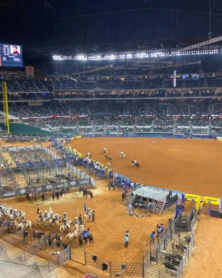 PBR - Unleash The Beast